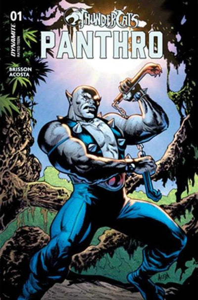 Thundercats: Panthro