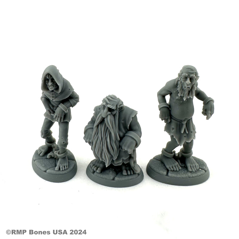 Dungeon Dwellers Bones: Prisoners (3)