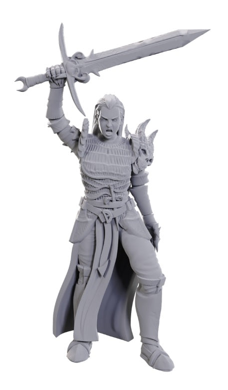 Dungeons & Dragons Nolzur&