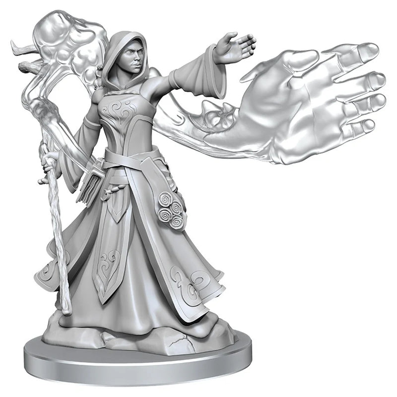 Dungeons & Dragons: Frameworks - Elf Wizard Female