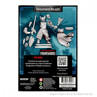 Dungeons & Dragons Frameworks W01 Dragonborn Paladin Male