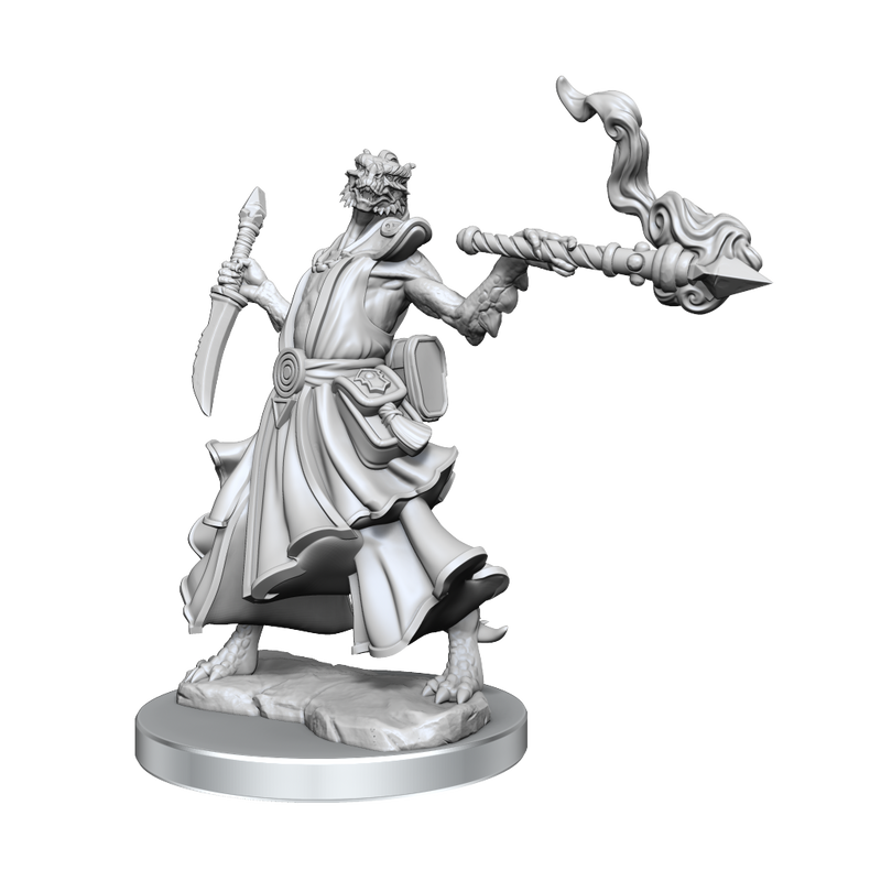 W01 D&D Frameworks Dragonborn Sorcerer Female