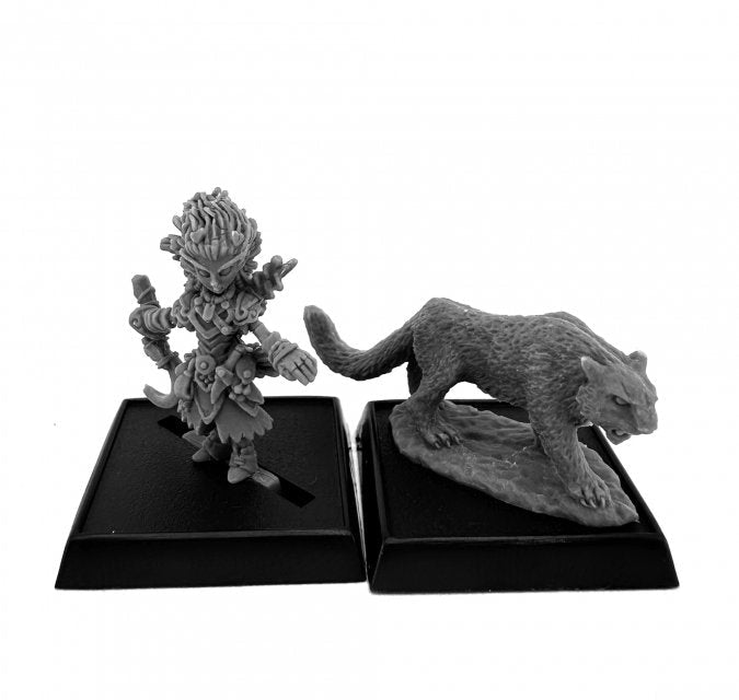 Pathfinder Lini Iconic Gnome Druid (2e)