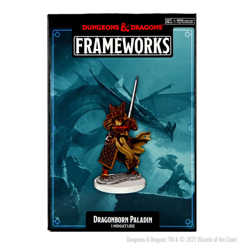 Dungeons & Dragons Frameworks W01 Dragonborn Paladin Male