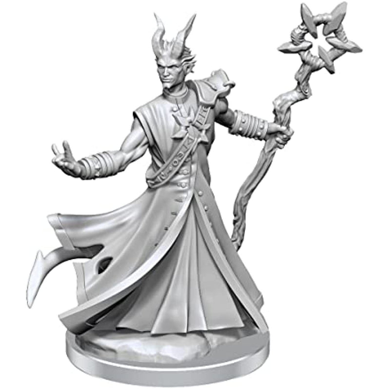 Dungeons & Dragons Frameworks: W01 Tiefling Warlock Male