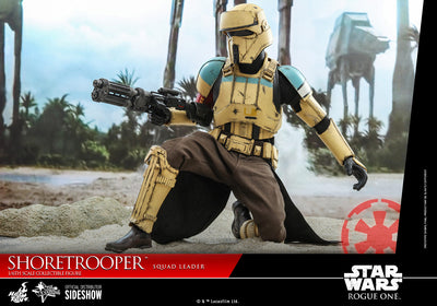 Hot Toys Star Wars Shoretrooper Squad Leader Sixth Scale Collectible Figure