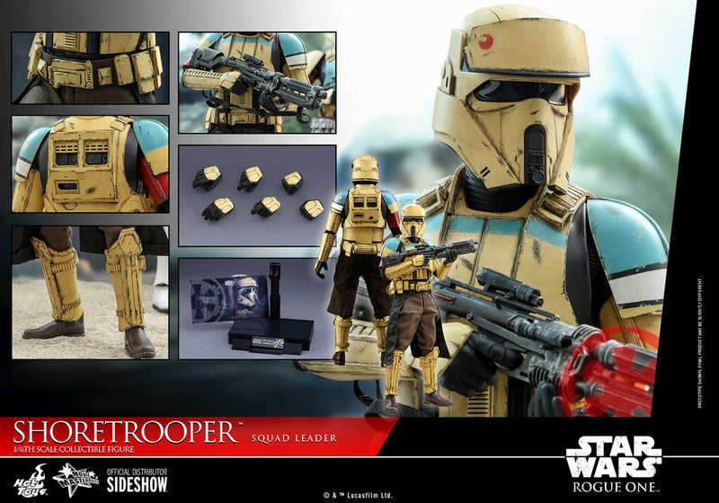 Hot Toys Star Wars Shoretrooper Squad Leader Sixth Scale Collectible Figure