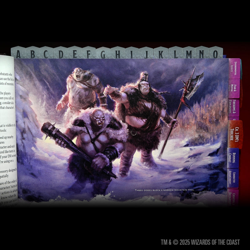 D&D Book Tabs: 2024 Dungeon Master&