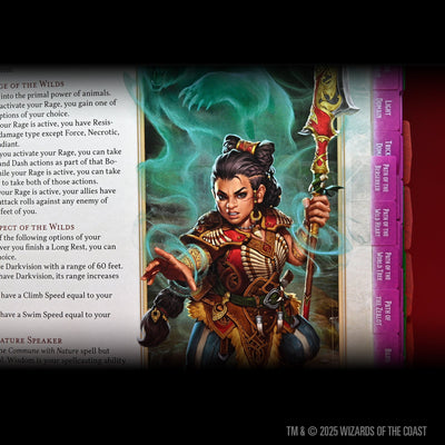 D&D Book Tabs: 2024 Player's Handbook