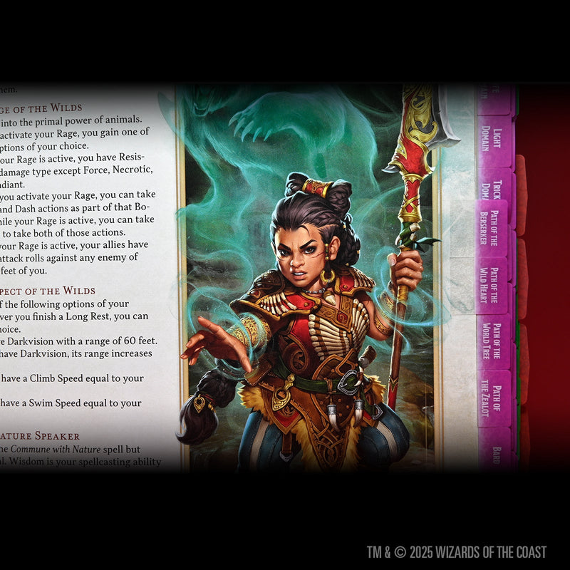 D&D Book Tabs: 2024 Player&