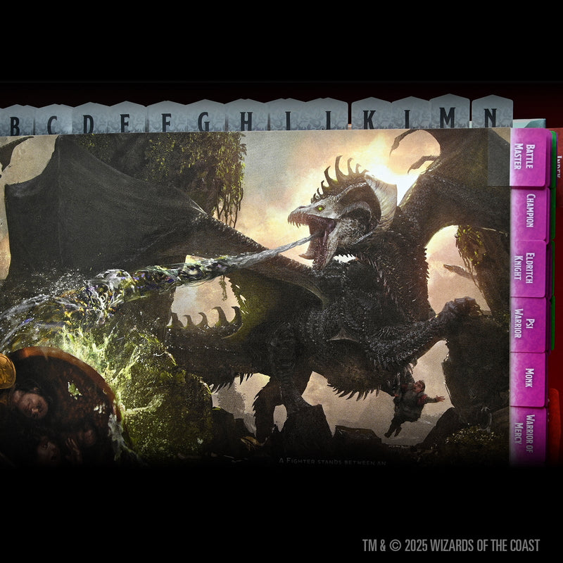 D&D Book Tabs: 2024 Player&