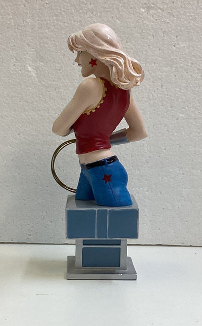 Women of the DC Univesre Series 2 Wonder Girl Bust 2851/3000 *Hair Faded*