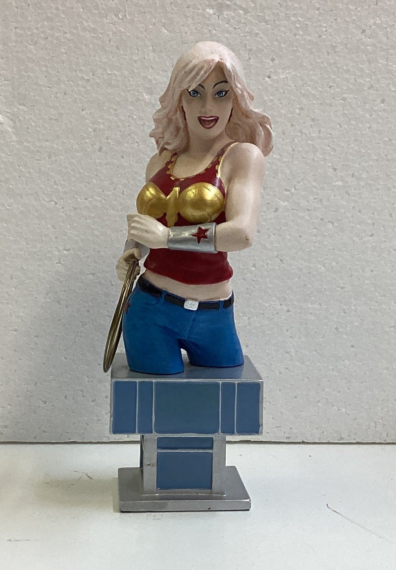 Women of the DC Univesre Series 2 Wonder Girl Bust 2851/3000 *Hair Faded*