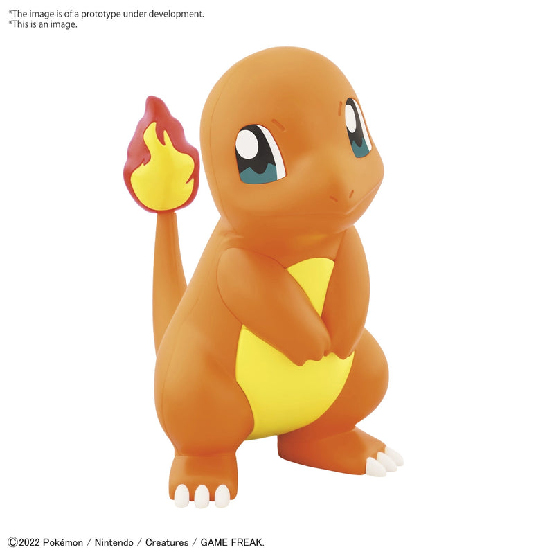 Charmander Model Kit Quick!!