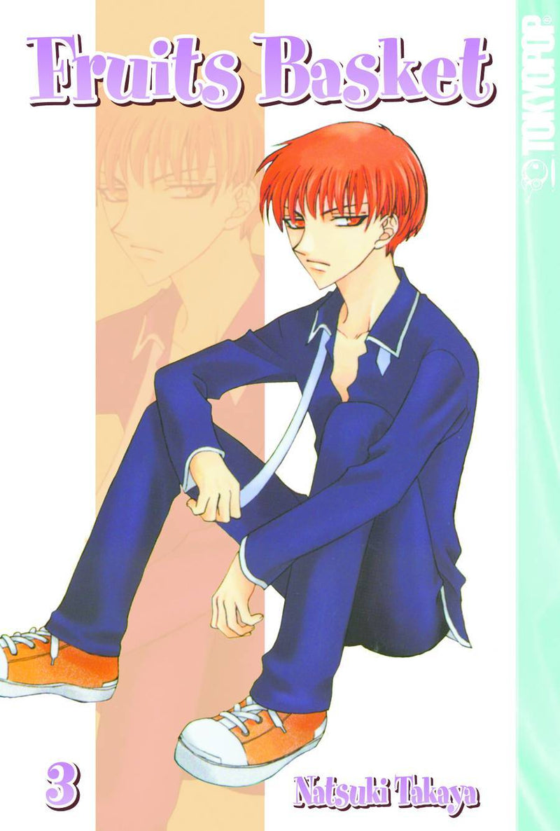 FRUITS BASKET GN Volume 03